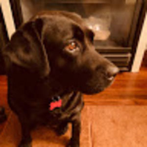 Meet your Posher, Chetan